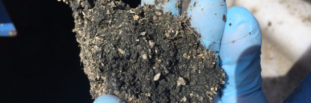 用離心機(jī)用于奶牛和豬(豬)糞便分離的好處